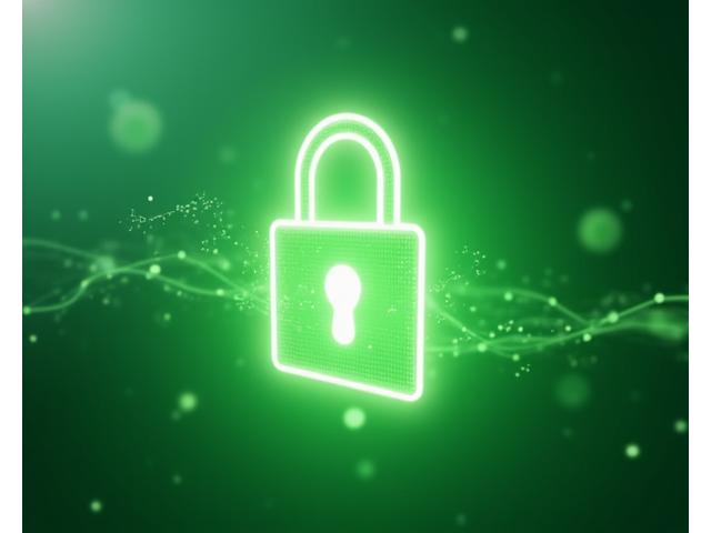 Grafik: Ein stilisiertes Schloss-Symbol umgeben von digitalen Datenflüssen, dargestellt in beruhigenden Grüntönen von Lebenskraft-Wellen, die Sicherheit und Vertrauen symbolisieren.