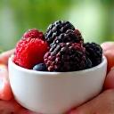 Eine Hand hält eine Schale mit verschiedenen Waldbeeren – Heidelbeeren, Himbeeren, Erdbeeren – stellvertretend für zellschützende Superfoods und Antioxidantien.